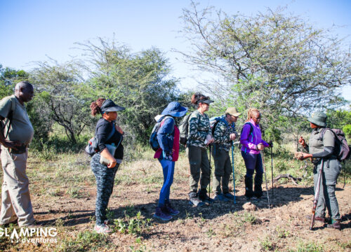 Hluhluwe – Imfolozi Wilderness Trail 11-14 June 2026